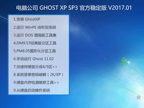 深度解析 電腦公司 Ghost XP SP3 官方穩定版 v2017.01 在數據處理中的應用與價值